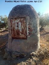 Pozo de la Torre del Ayozar. 