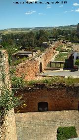 Castillo de los Guzmanes. Vistas de la muralla este