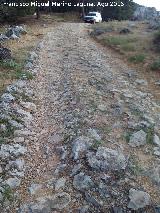 Calzada del Royo del Ciruelo. 