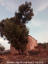 Cortijo del Quejigal