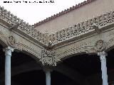 Casa de las Conchas. Grgolas y escudos