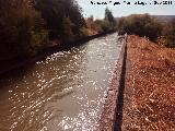 Canal del Guadaln
