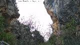 Cueva del Jabonero. Recinto de la Cueva del Jabonero