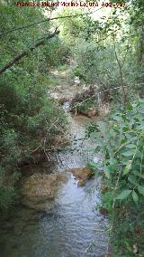Ro Caamares. 