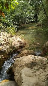 Ro Caamares. 