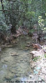 Ro Caamares. 