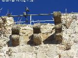 Castillo de Higuera de Calatrava. Matacn