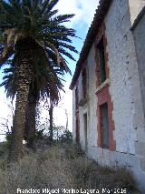 Cortijo de las Pilas de Espeso. Palmeras y fachada