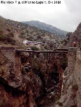 Puente del Rey. El Tren por la va frrea al fondo