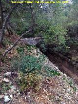 Canal del Chorro. Puente del Canal