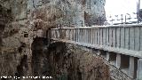 Puente de los Gaitanes. 