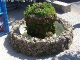Fuente del Cerrico. 