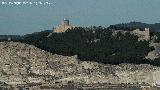 Castillo de Ayyub