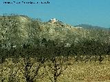 Ermita de San Roque. 