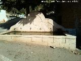 Fuente del Museo. 
