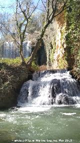 Parque Natural del Monasterio de Piedra. Bao de Diana. 