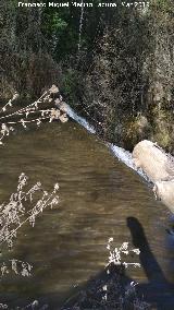 Parque Natural del Monasterio de Piedra. Cascada de la Caprichosa. Parte alta de la cascada