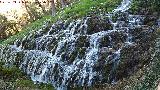 Parque Natural del Monasterio de Piedra. Cascada Chorreaderos. 