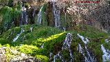 Parque Natural del Monasterio de Piedra. Cascada Chorreaderos. 