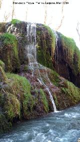 Parque Natural del Monasterio de Piedra. Cascada Chorreaderos. 