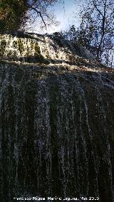 Parque Natural del Monasterio de Piedra. Cascada de los Fresnos Altos. 