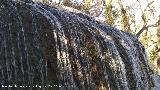 Parque Natural del Monasterio de Piedra. Cascada de los Fresnos Altos. 