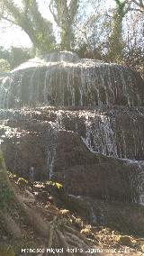 Parque Natural del Monasterio de Piedra. Cascada de los Fresnos Altos. 