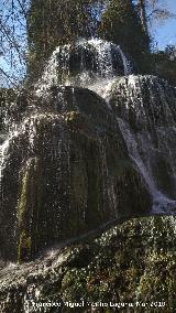 Parque Natural del Monasterio de Piedra. Cascada Trinidad. 