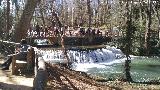 Parque Natural del Monasterio de Piedra. Los Vadillos