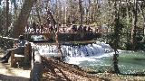 Parque Natural del Monasterio de Piedra. Los Vadillos. 