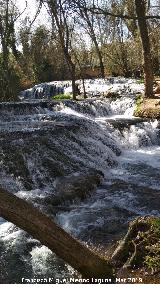 Parque Natural del Monasterio de Piedra. Los Vadillos. 