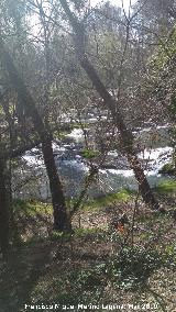 Parque Natural del Monasterio de Piedra. Los Vadillos. 