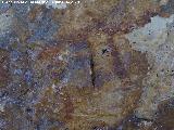 Pinturas rupestres del Abrigo del Puerto. Zooformo superior izquierdo