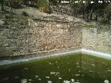 Alberca del Huerto del Carmen. 