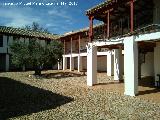 Santuario de Ntra Sra de la Encarnacin. Olivo