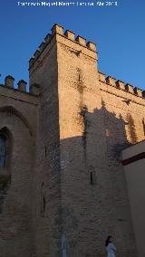 Castillo de Trigueros. 