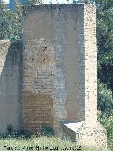 Muralla de Niebla. Torre del Oro. 