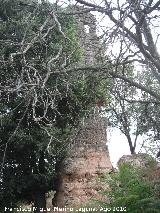 Castillo de Peolite. 