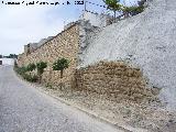 Muralla de Sabiote. Muralla Sur