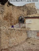 Puerta de Granada. 