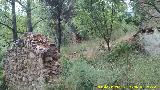 Aldea Casicas del Ro Segura. Casas en ruinas en su antigua ubicacin