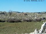 Cortijo de Cotillas