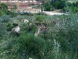 Cortijo Victor