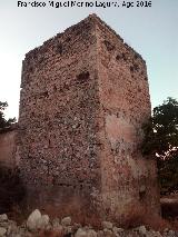 Castillo de Aldehuela. 