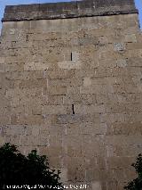 Torre de Beln