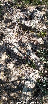 Cueva de la Zorra. Escaleras talladas