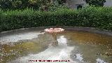 Cuarto Real de Santo Domingo. Fuente