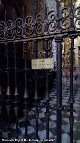 Catedral de Granada. Capilla de la Virgen del Carmen. Reja