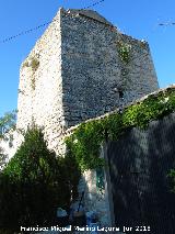 Torre de Alczar. 