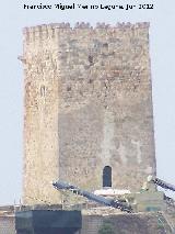 Torre de Fuencubierta. 